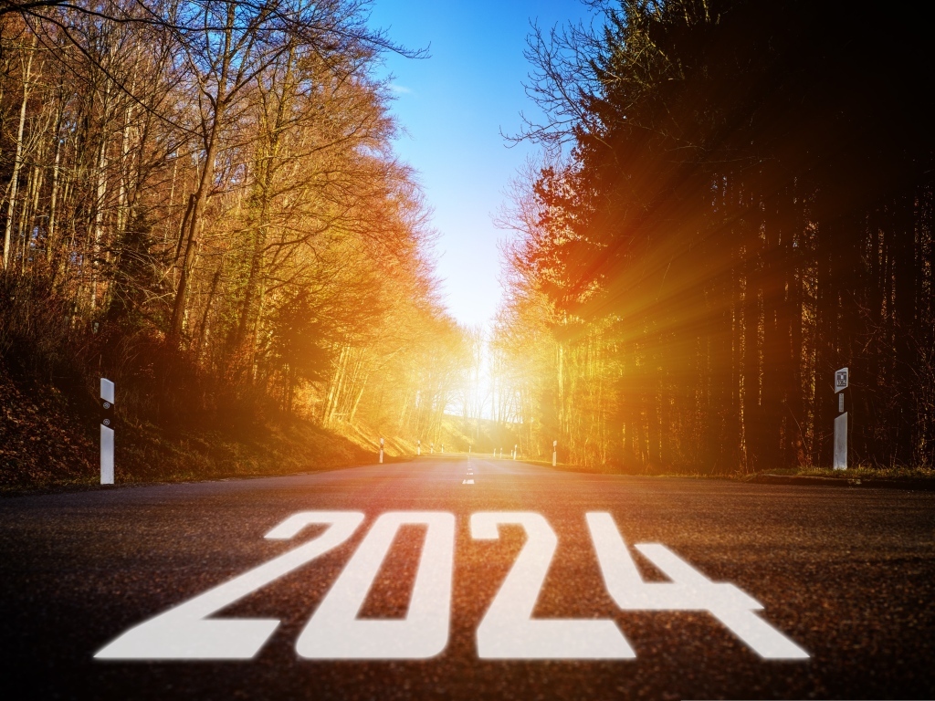 Белые цифры 2024 на дороге в лесу