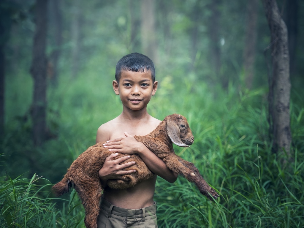 Маленький мальчик с ягненком на руках