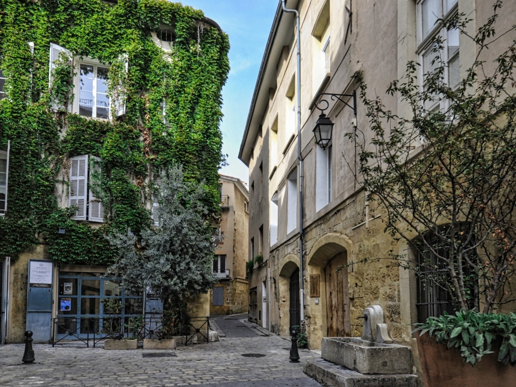 Покрытые зеленой растительностью дома на улице города