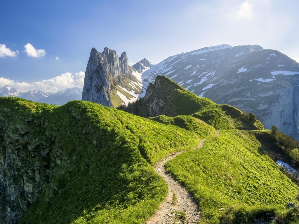 Красивый вид на покрытые зеленью Швейцарские Альпы