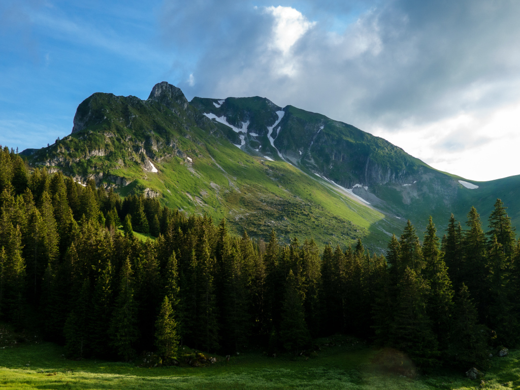 Вид на покрытые растительностью Альпы, Швейцария