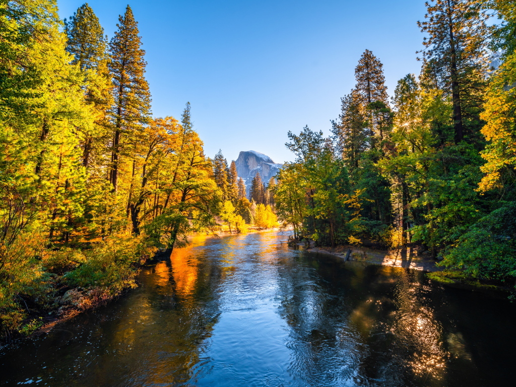 Река в осеннем парке, США