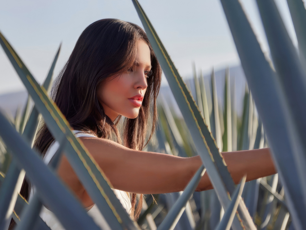 Милая актриса Эйса Гонсалес в зарослях