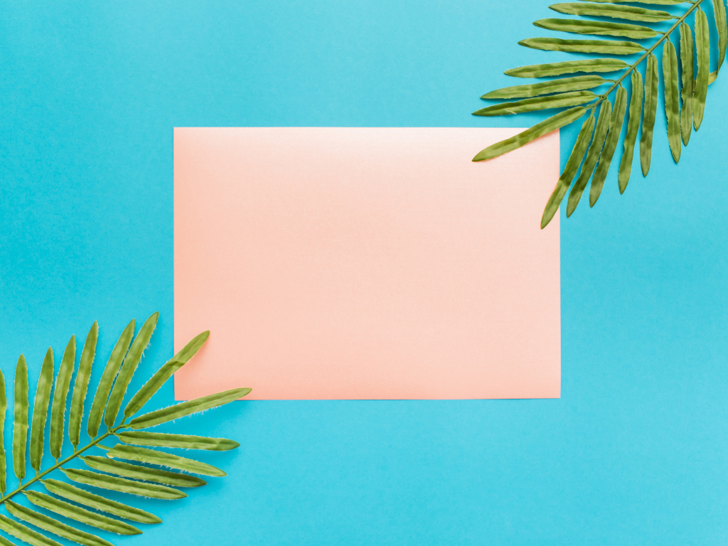 Лист бумаги и два зеленых листа на голубом фоне