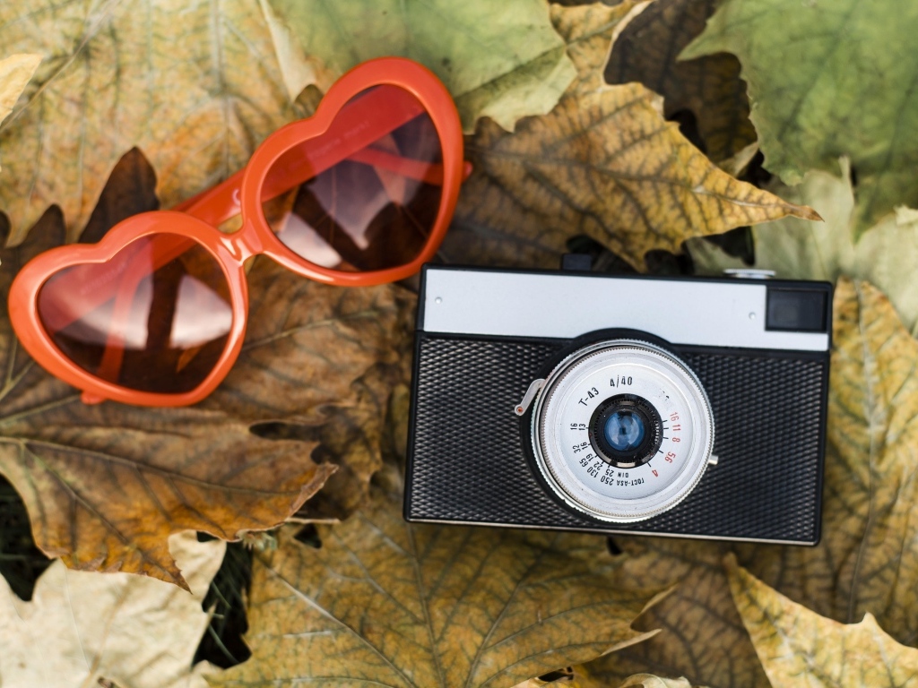 Фотоаппарат с очками на опавшей листве