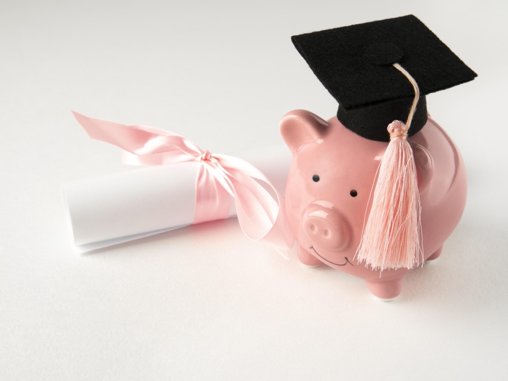 Свинья копилка с бумажным свертком на сером фоне