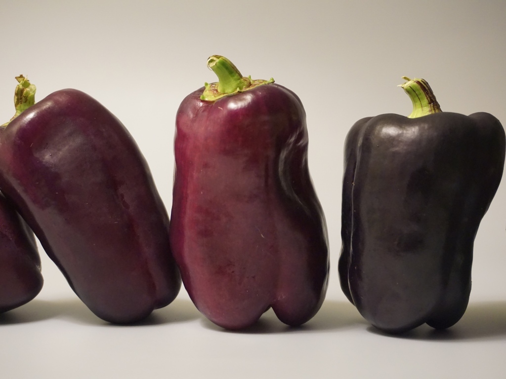 Баклажаны на сером фоне