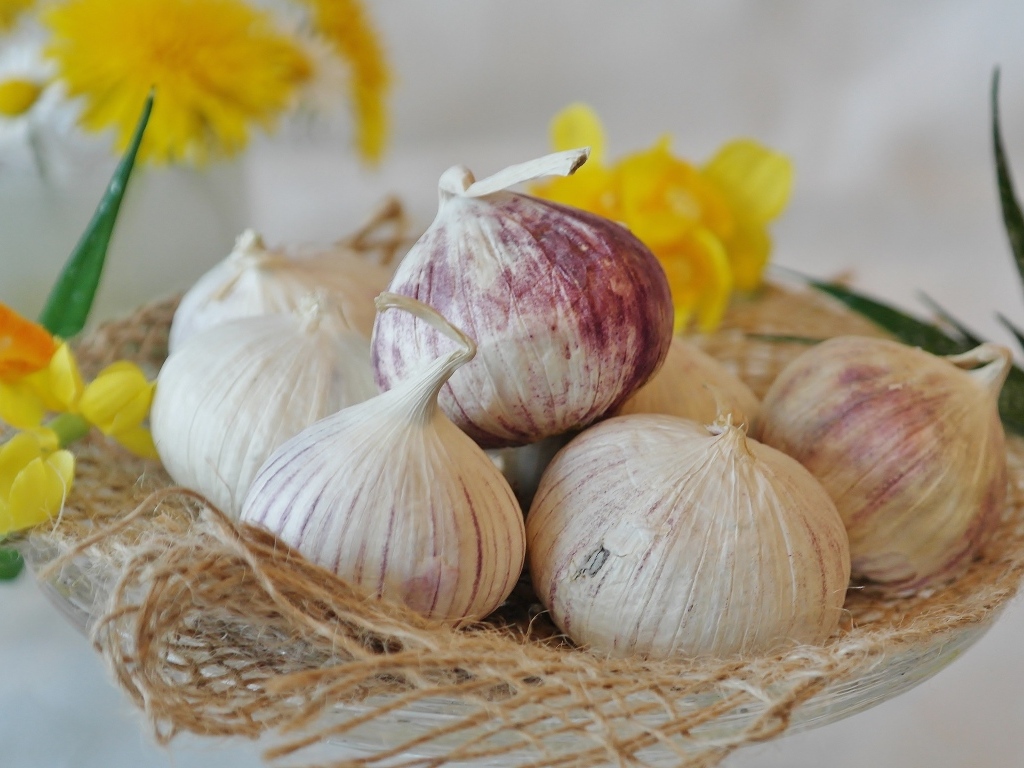 Головки чеснока с цветами нарцисса на столе