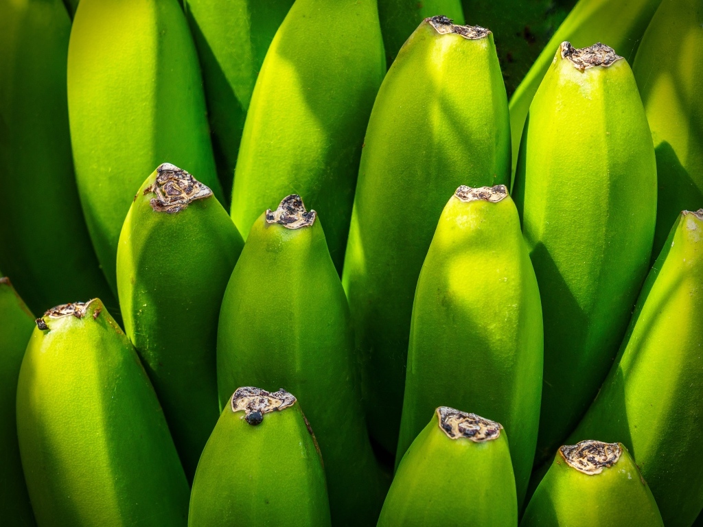Зеленые бананы крупным планом