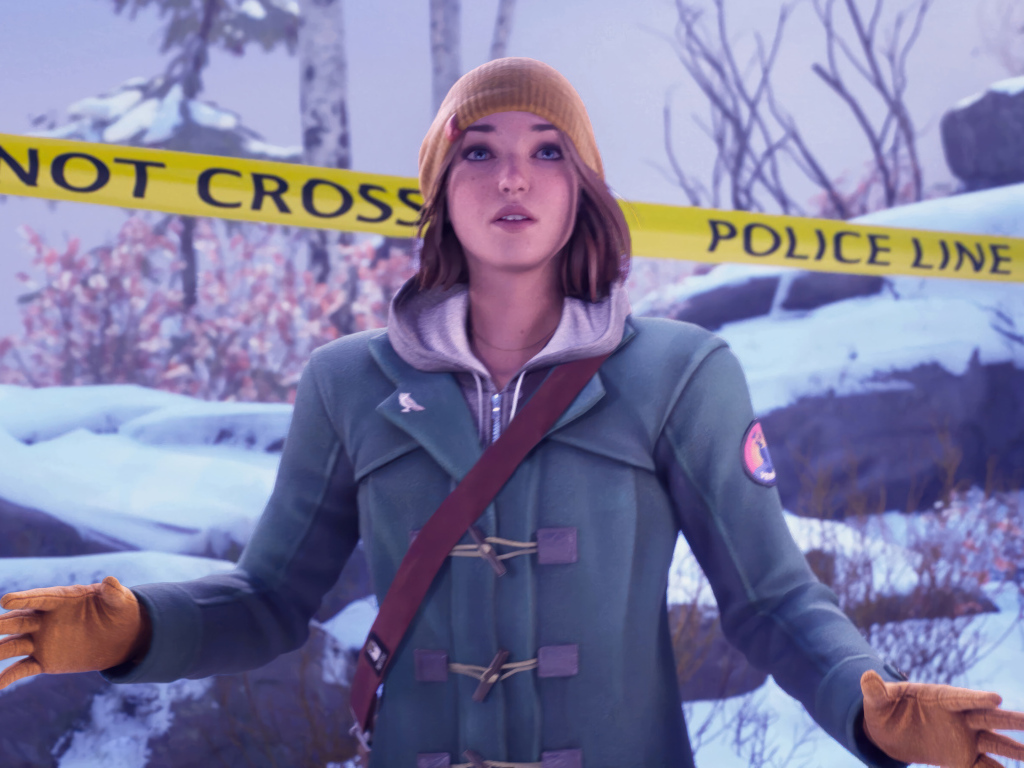 Компьютерная игра Life is Strange: Double Exposure, 2024