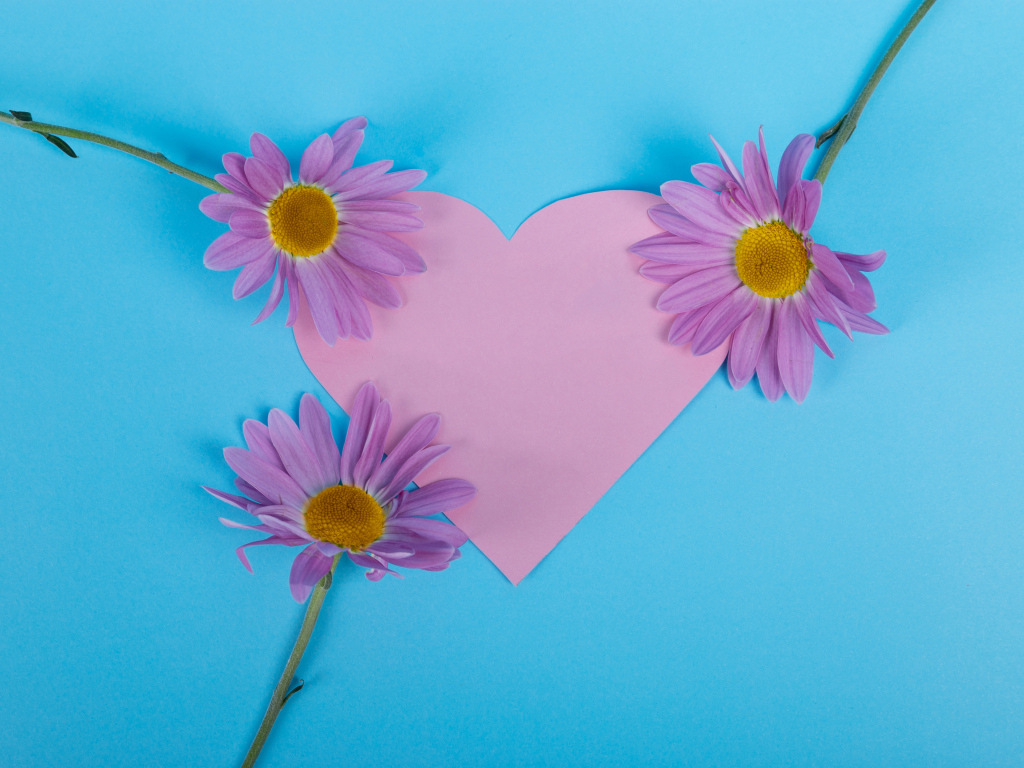 Розовое сердце с цветами на голубом фоне