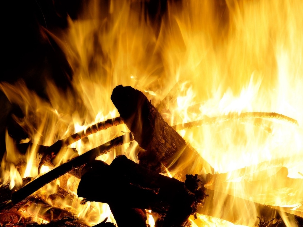 Яркое горячее пламя костра крупным планом