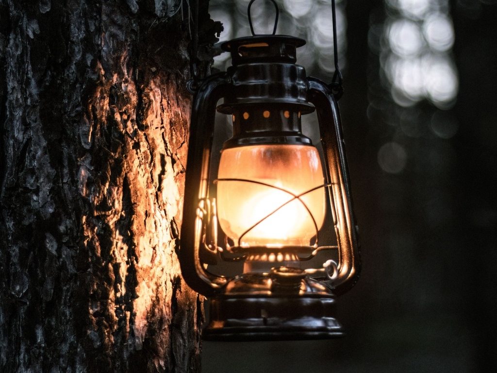 Светящийся фонарь висит на дереве