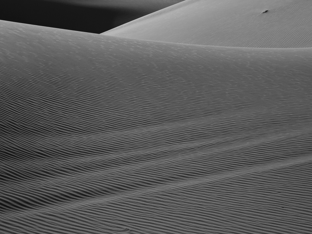 Волнистый песок в пустыне черно-белое фото