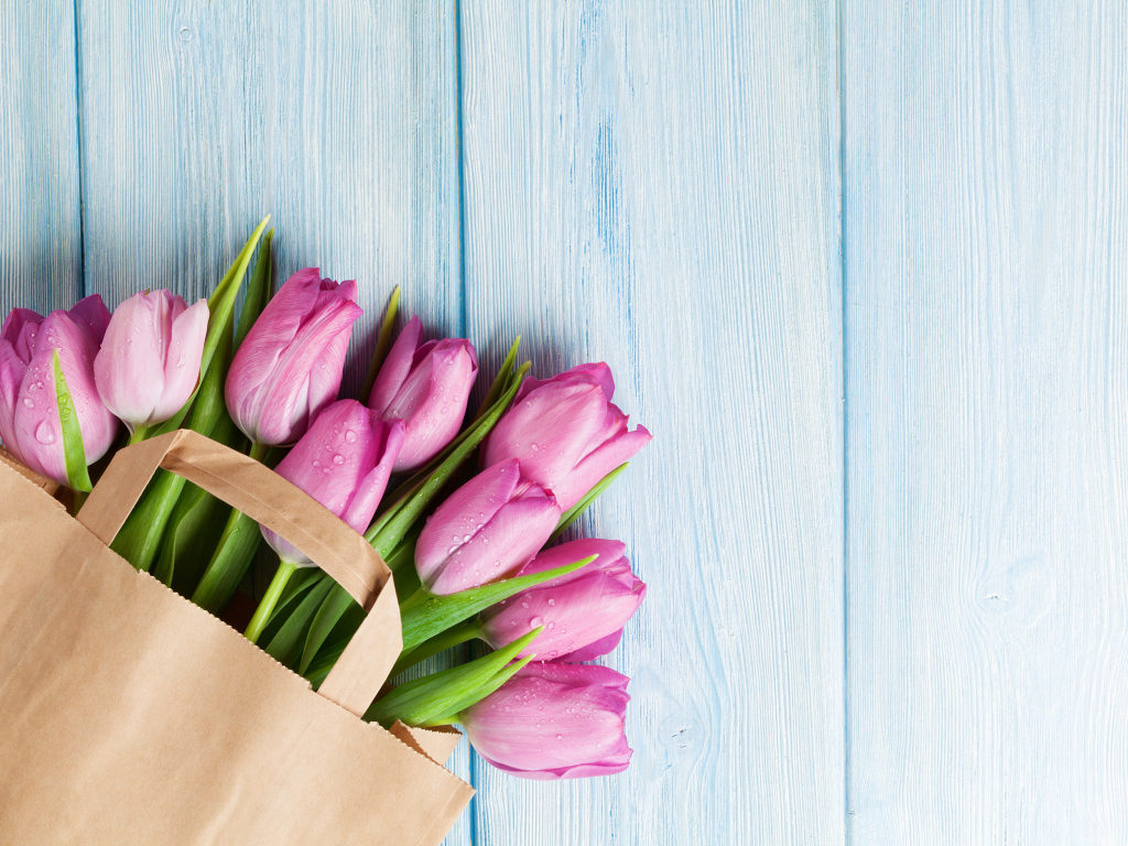 Пакет розовых тюльпанов на голубом столе