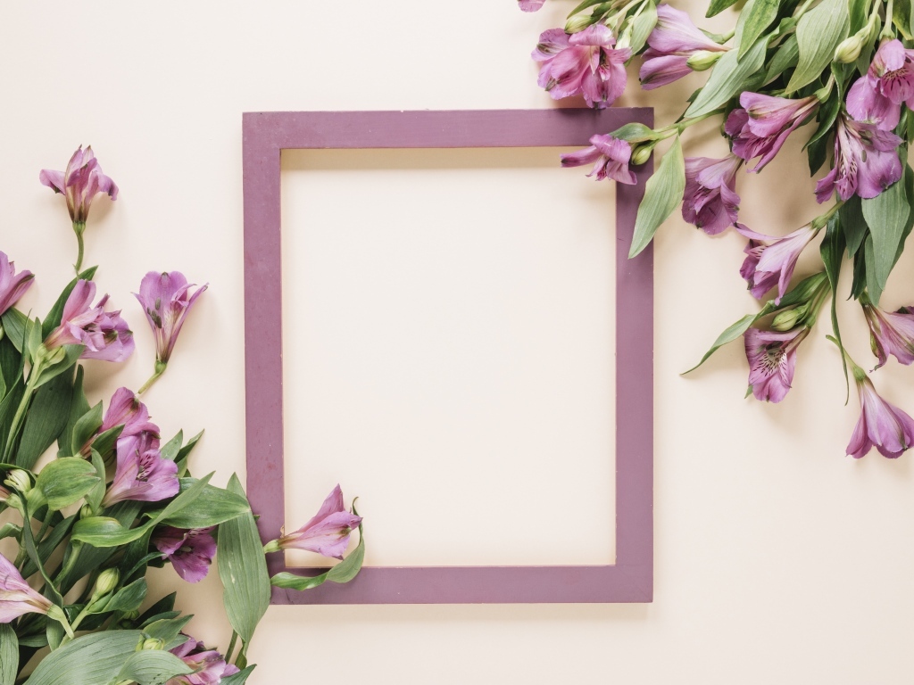 Цветы альстромерии на белом фоне с рамкой