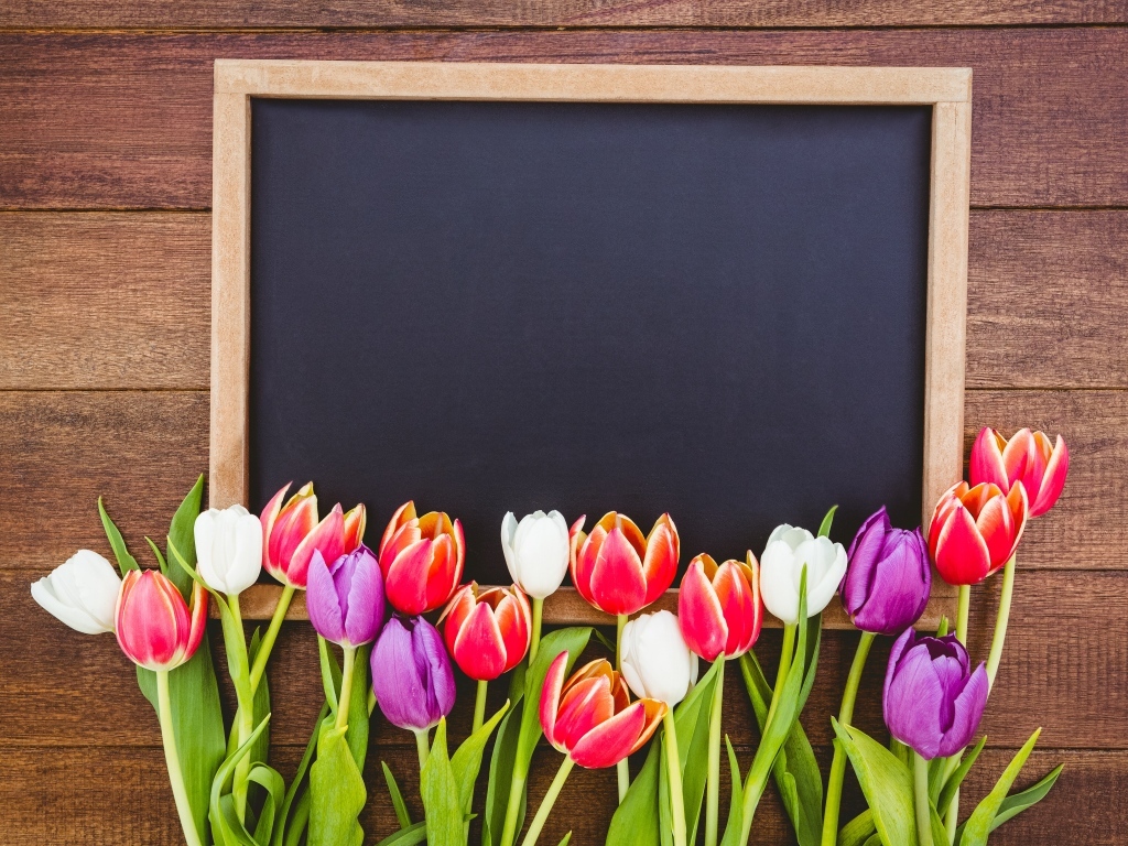 Красивые разноцветные тюльпаны с рамкой на деревянном столе