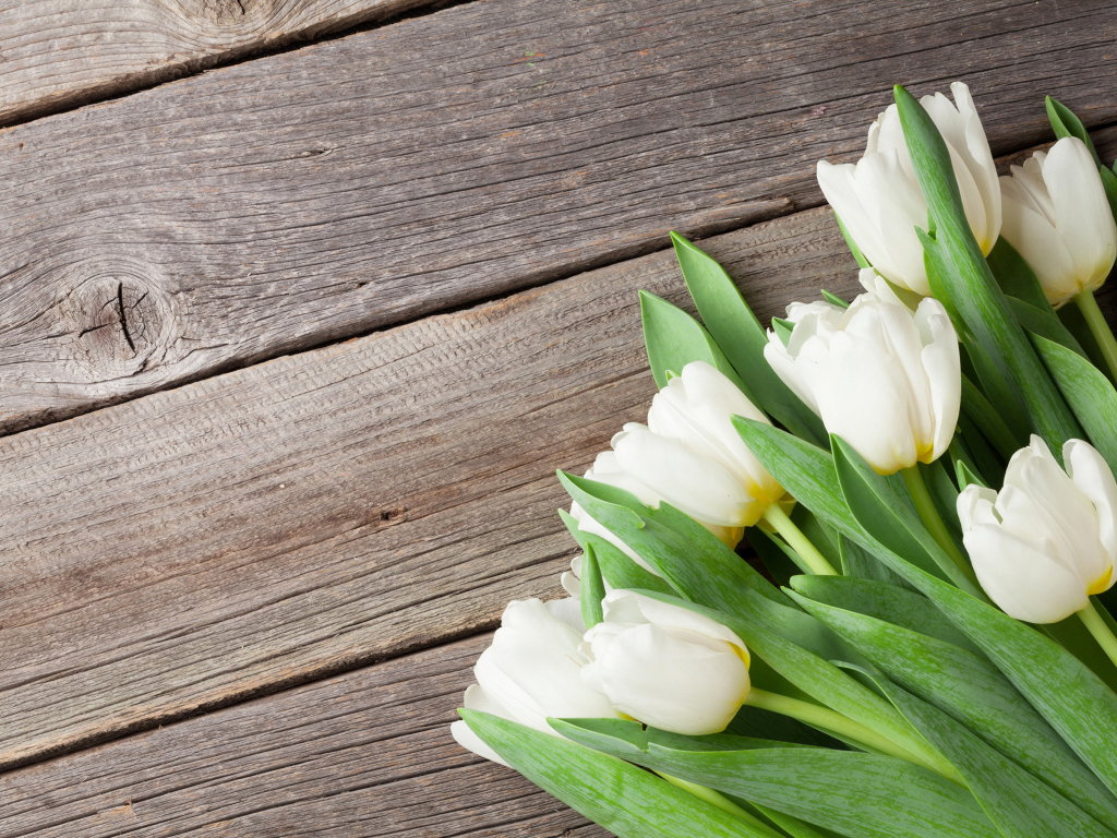 Букет нежных белых тюльпанов с зелеными листьями на деревянном столе