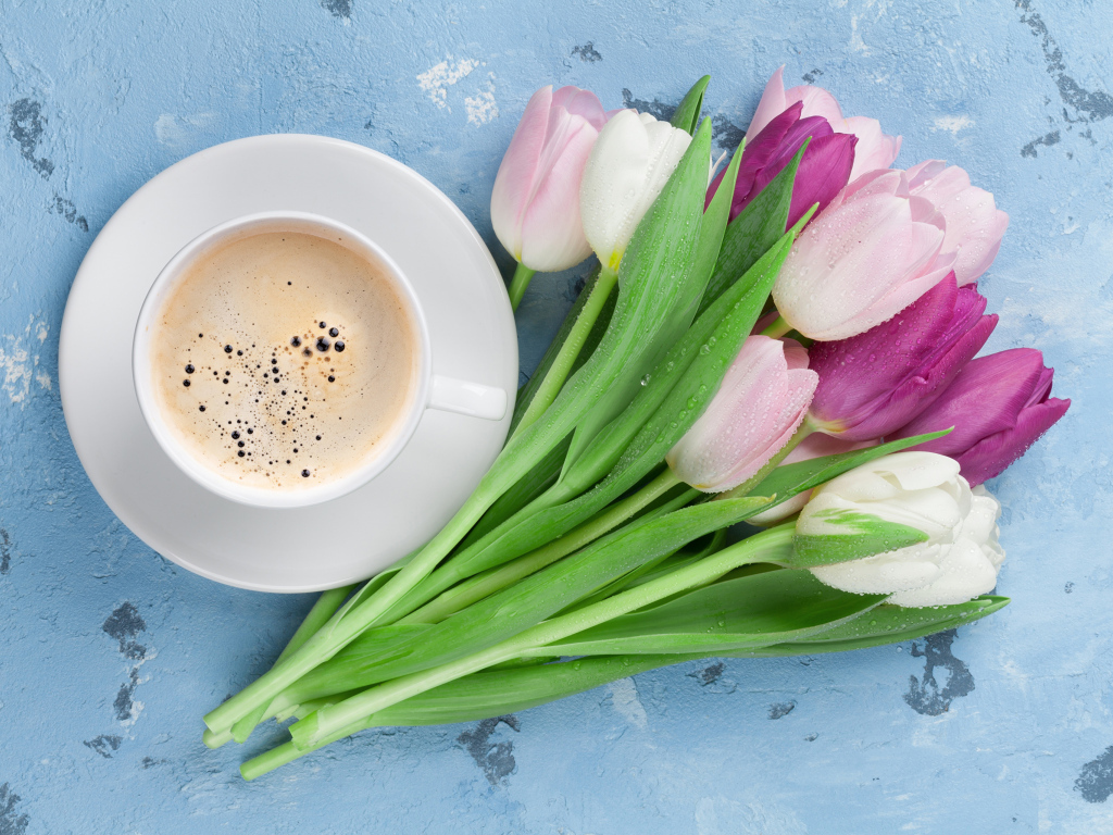 Букет разноцветных тюльпанов с чашкой кофе на голубом столе