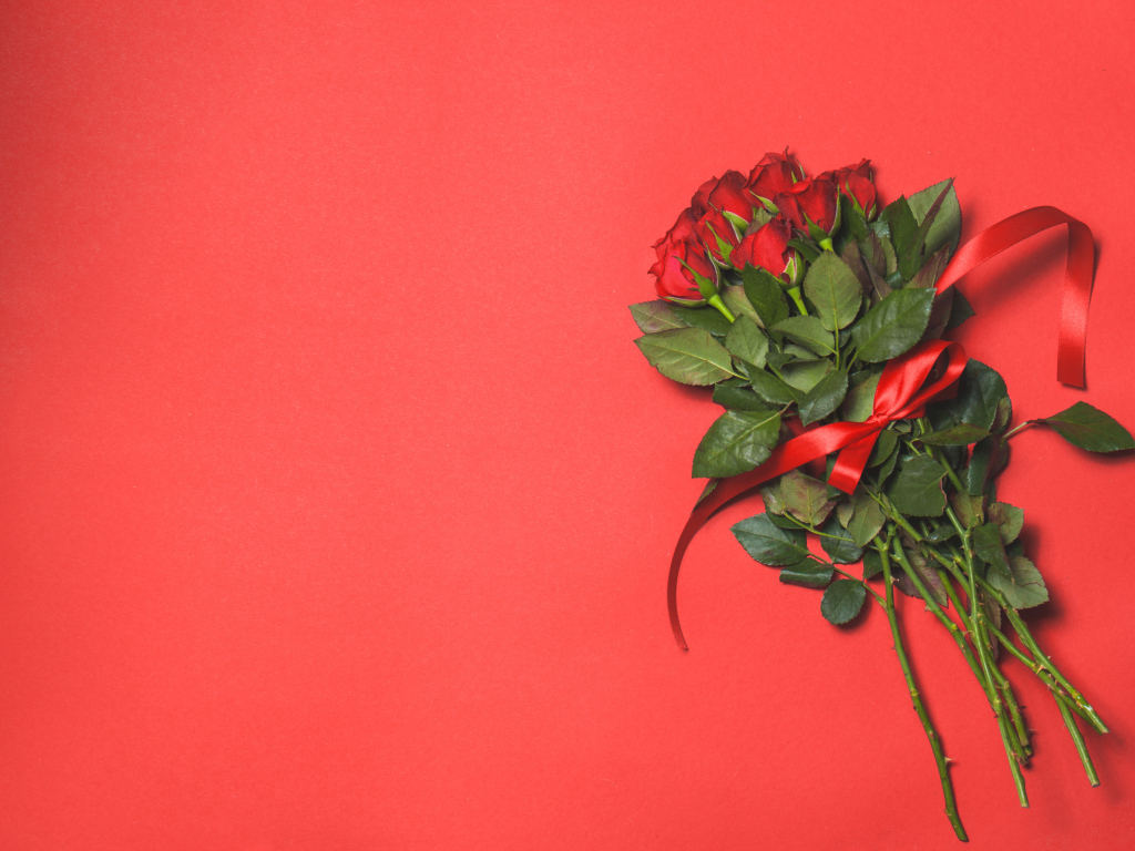 Букет красных роз с лентой на красном фоне, шаблон 