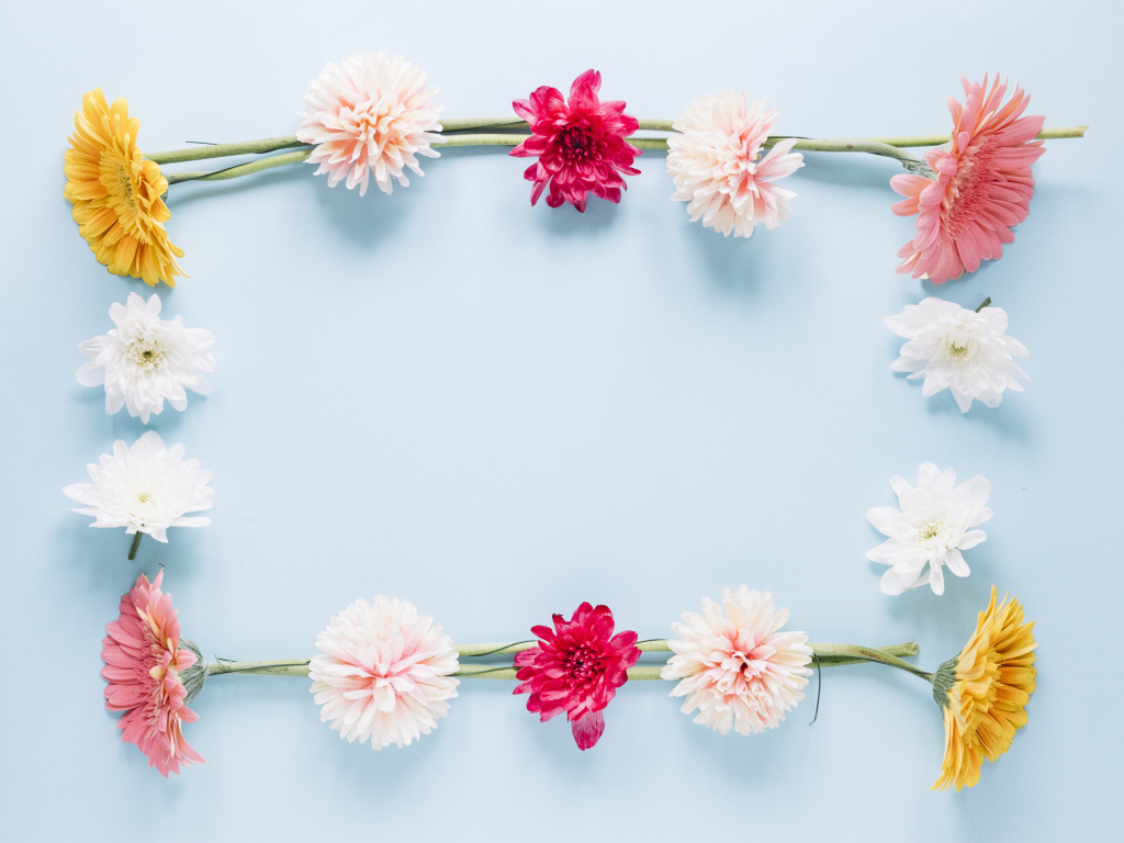 Рамка из разноцветных цветов на голубом фоне