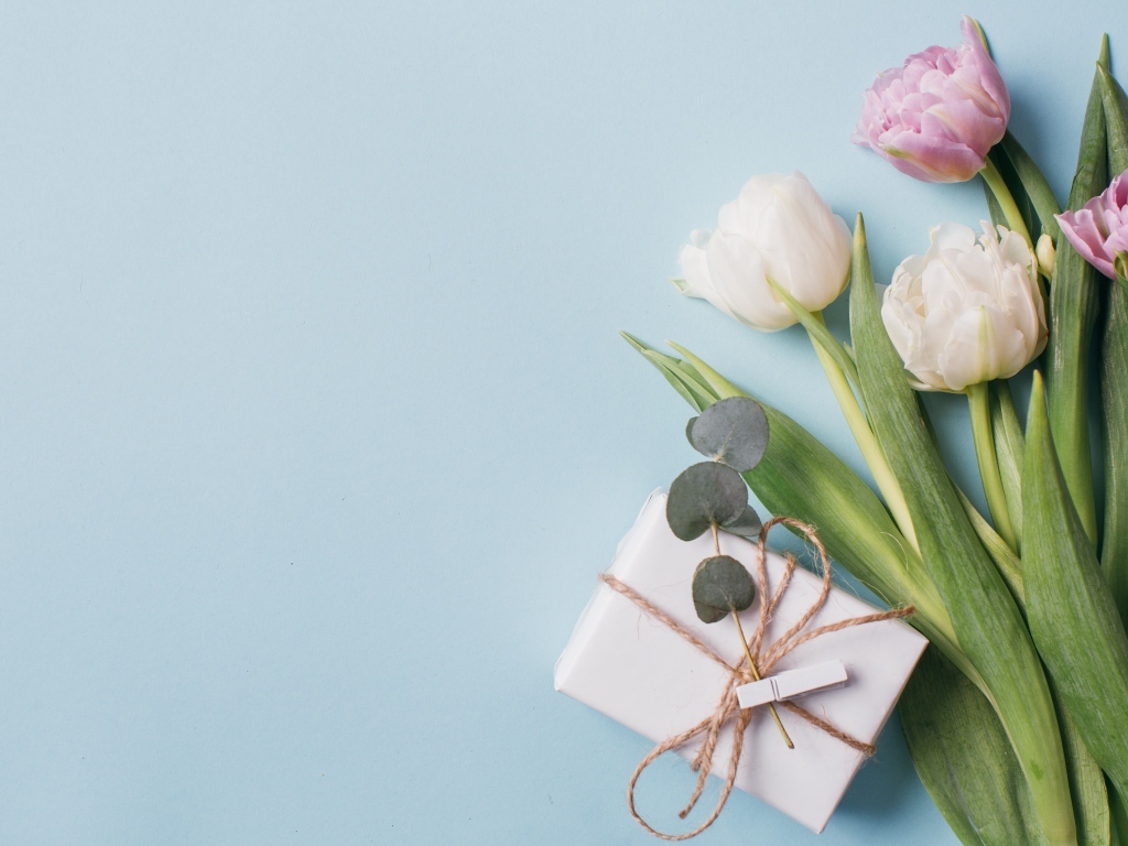 Подарок с тюльпанами на голубом фоне