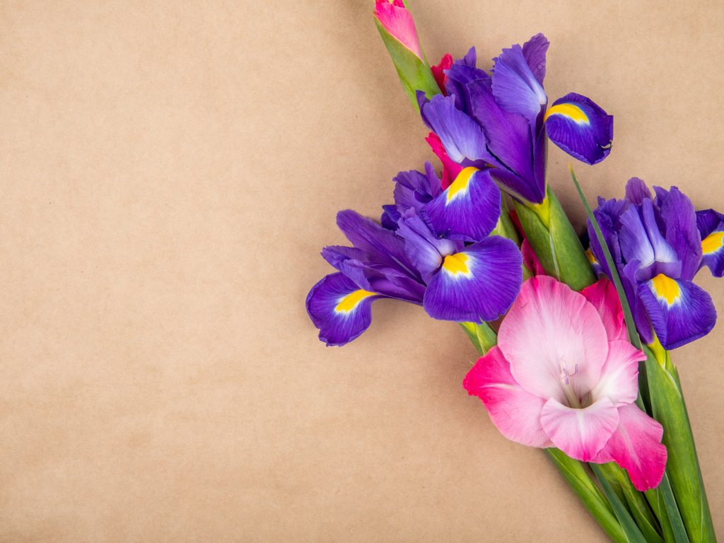 Сиреневые ирисы и гладиолусы на коричневом фоне