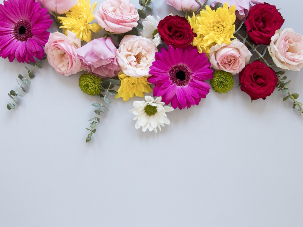 Разноцветные цветы на сером фоне