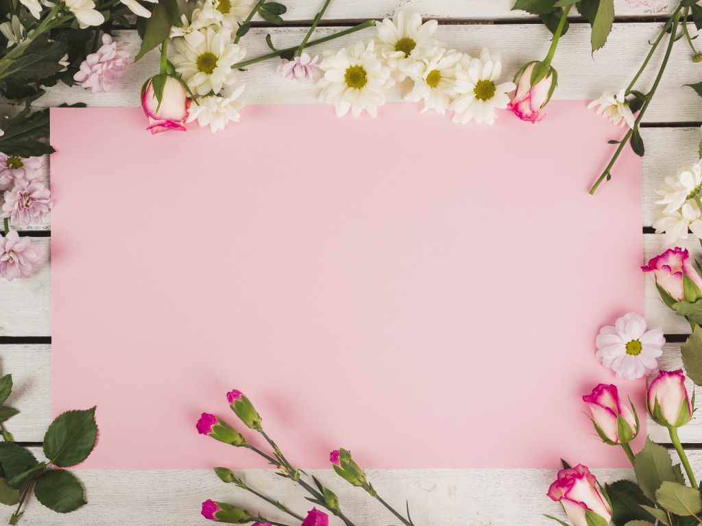 Розовый лист бумаги для открытки с цветами хризантемы