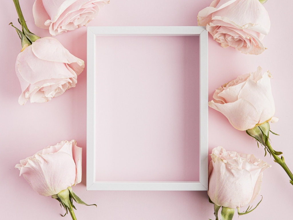 Розовые розы с белой рамкой для открытки