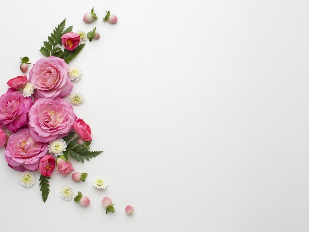 Розовые розы с зелеными листьями на сером фоне