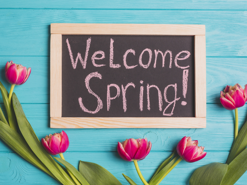 Тюльпаны на голубом фоне с надписью 