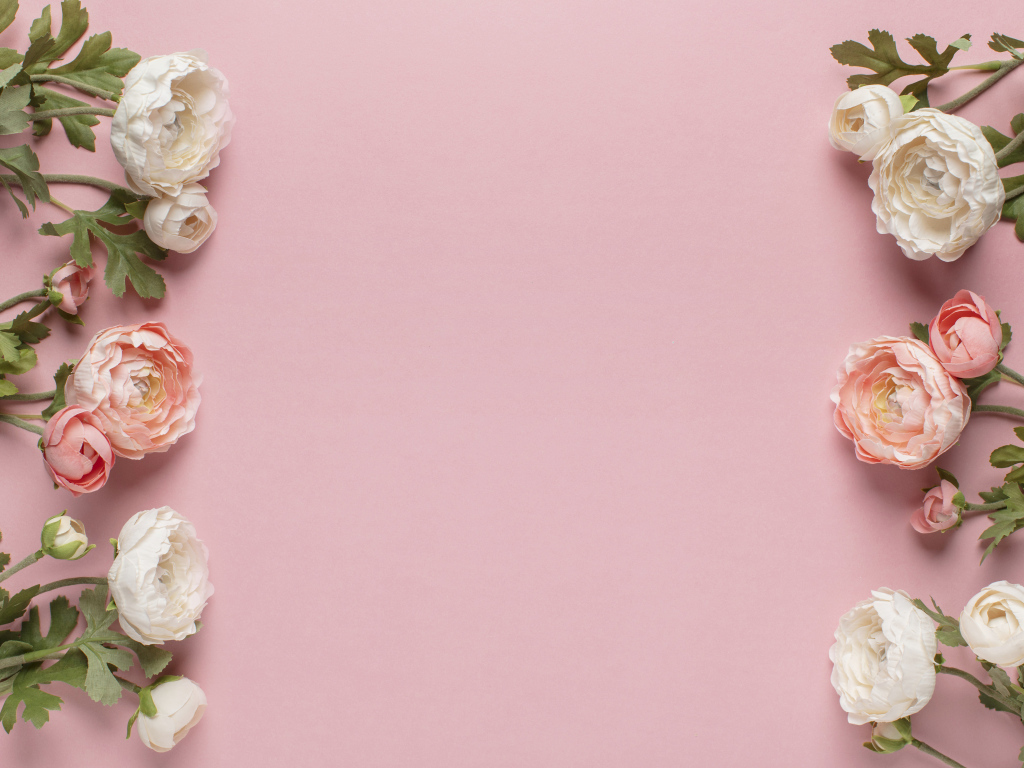 Белые и розовые лютики на розовом фоне, шаблон 