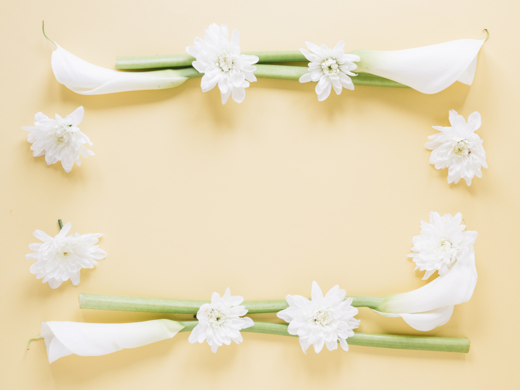 Белые каллы с хризантемами на желтом фоне