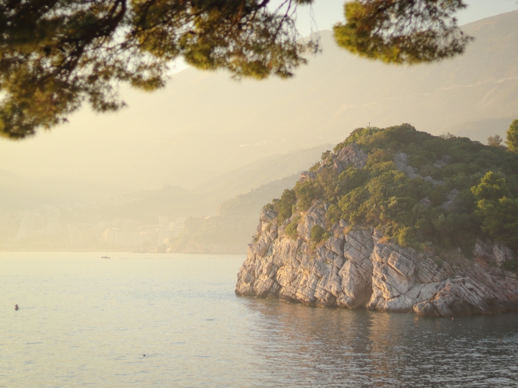 Скала покрытая зеленью на берегу океана