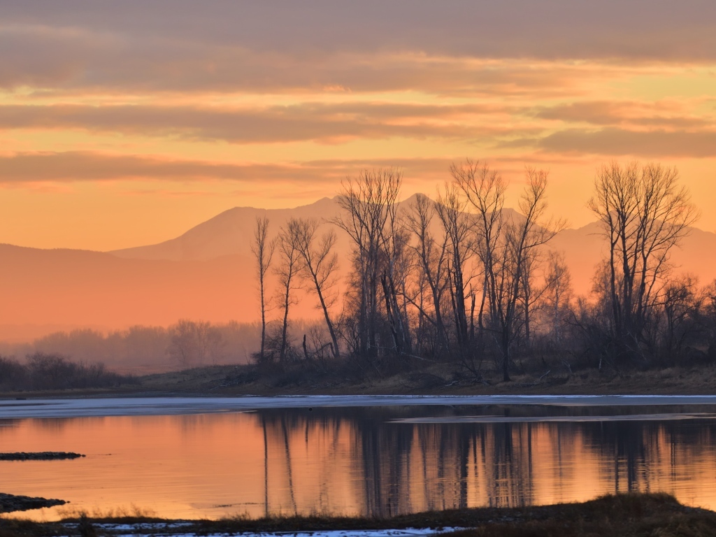 Деревья на закате солнца у озера осенью