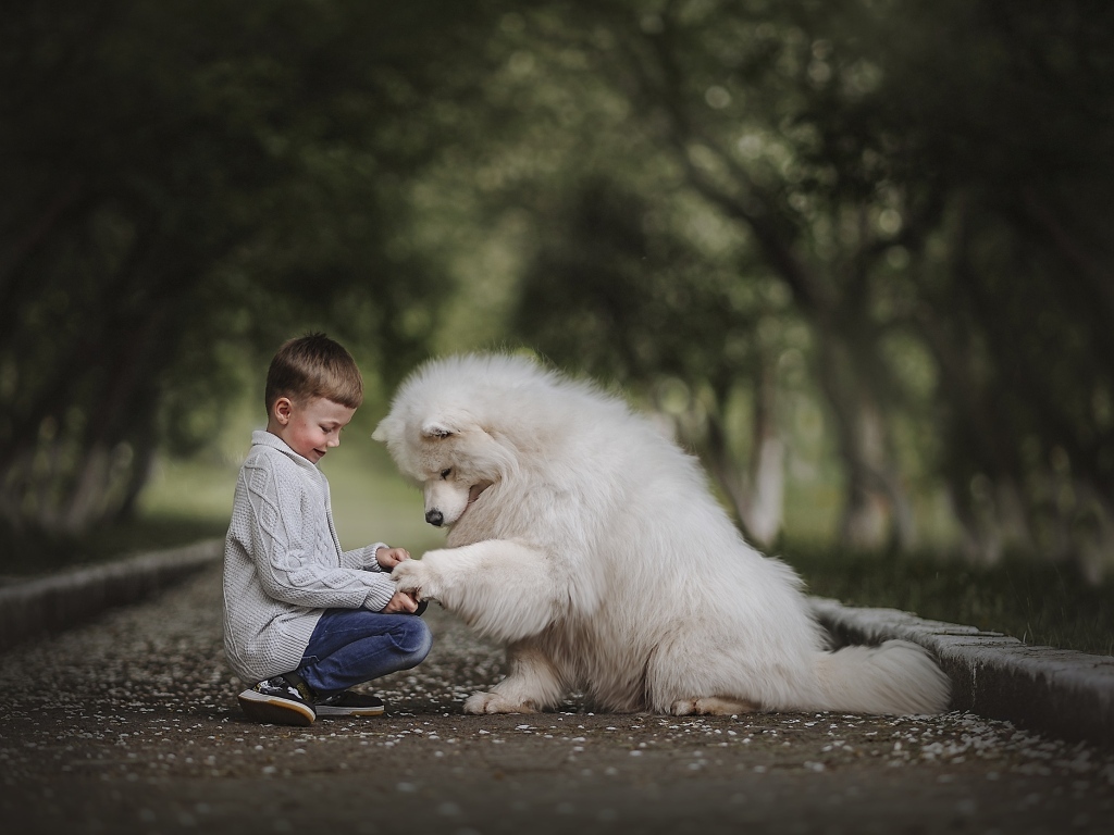 Мальчик на дороге с большим белым псом