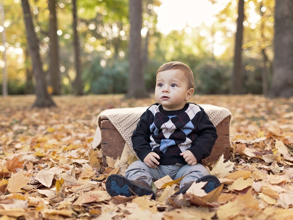 Мальчик сидит на опавшей осенней листве