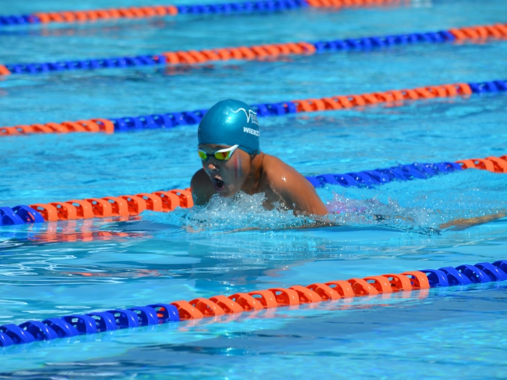 Маленький мальчик пловец в бассейне