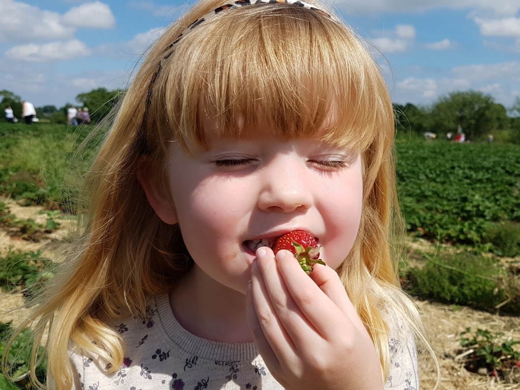 Маленькая девочка с закрытыми глазами пробует клубнику