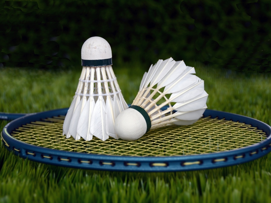 Два волана и ракетка для игры в бадминтон на траве