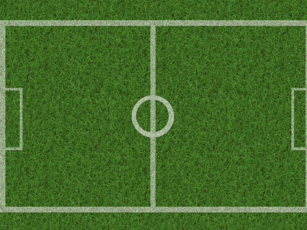 Поле расчерчено белыми линиями на зеленой траве