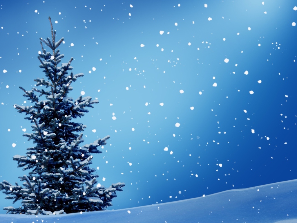 Зеленая ель на голубом фоне со снегом, шаблон для открытки