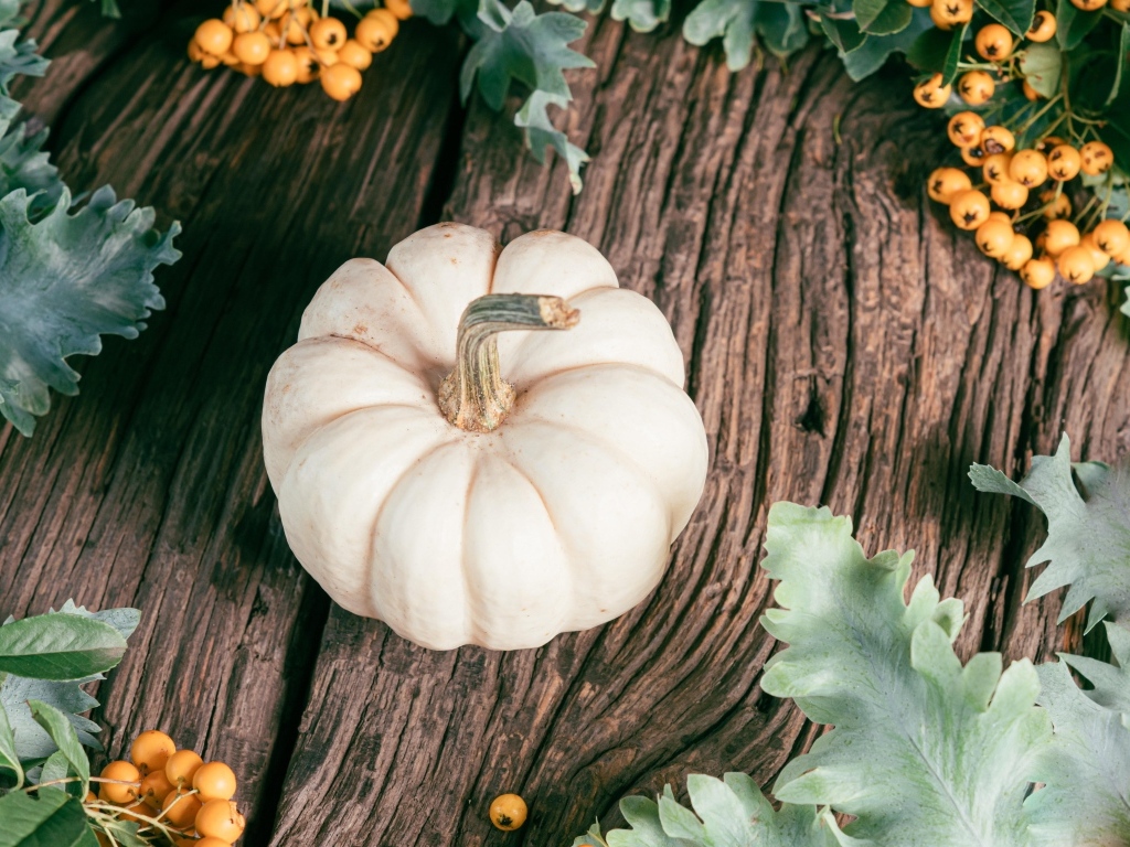 Тыква на столе с ягодами рябины