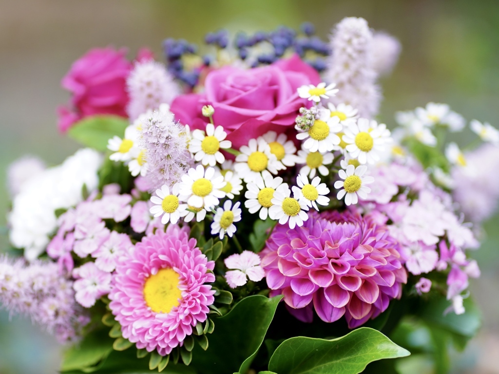 Красивый яркий букет осенних цветов