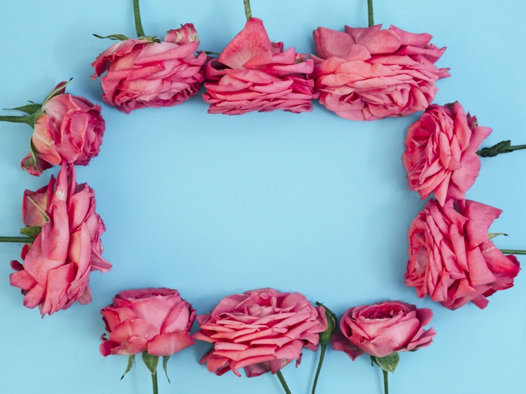 Рамка из  розовых роз на голубом фоне