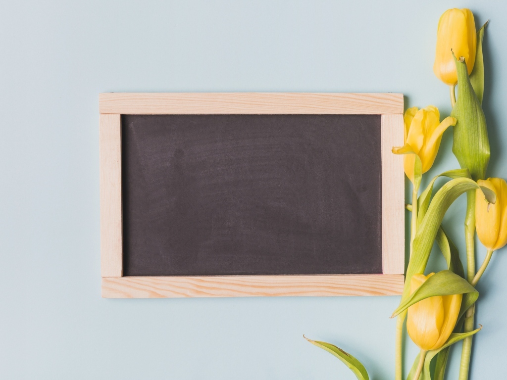 Желтые тюльпаны с рамкой для фона на сером фоне