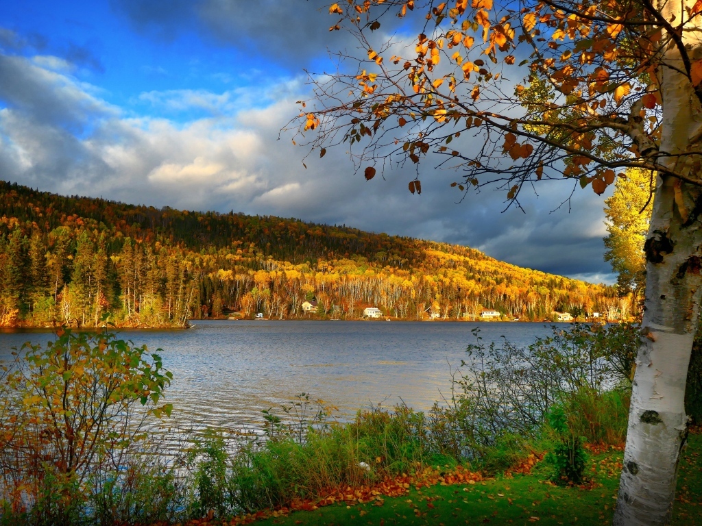 Осенний лес в лучах солнца у озера