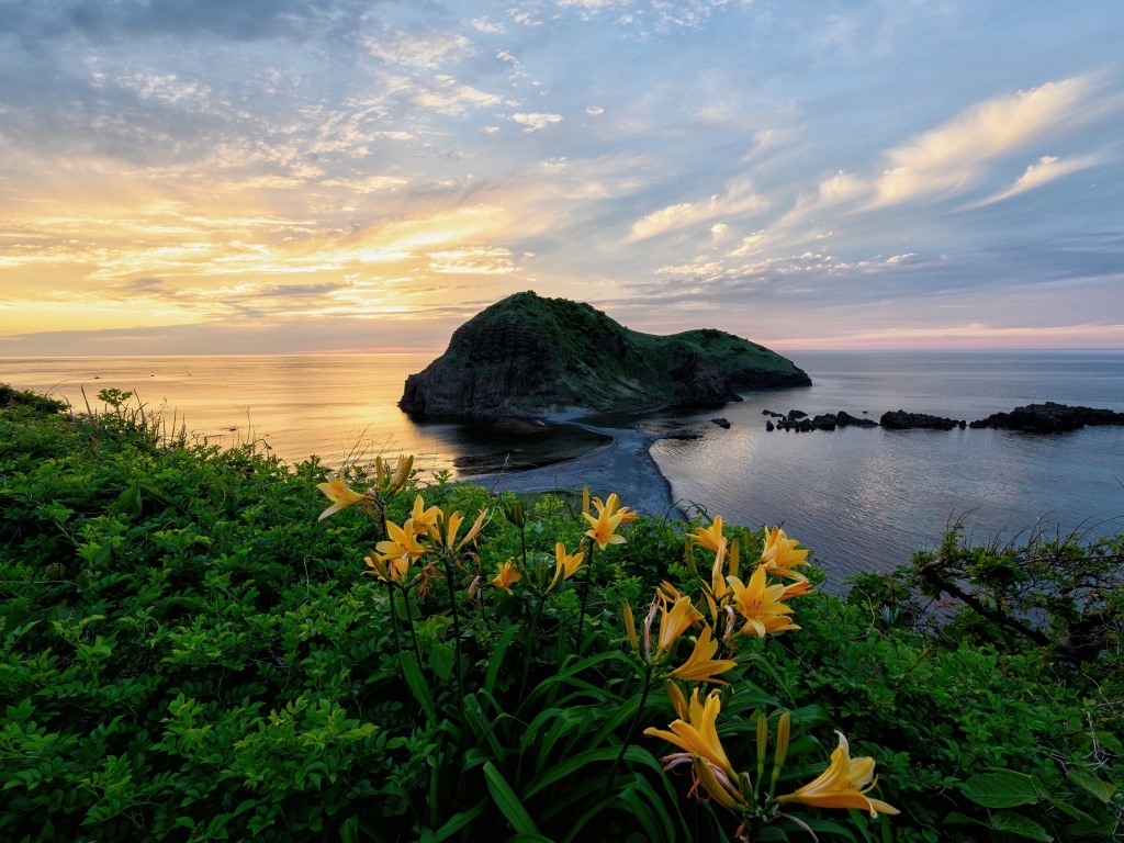 Зеленый остров в океане на закате солнца