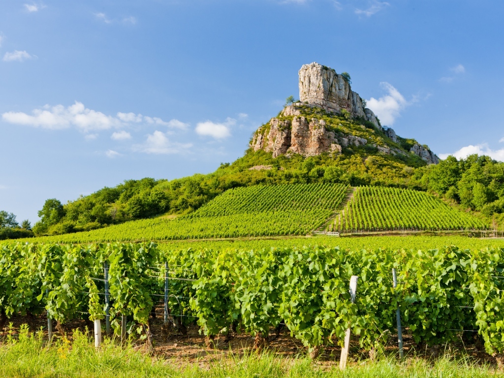 Виноградные поля у подножия скалы под голубым небом, Франция